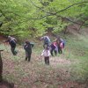 Obrovská hustota palicových turistov